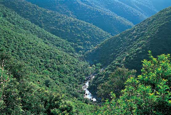 El valle del río Yeguas El valle del río Yeguas